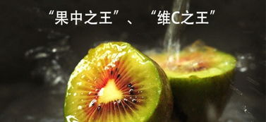 紅心獼猴桃合作社 現摘現發，開啟新鮮水果批發零售新體驗